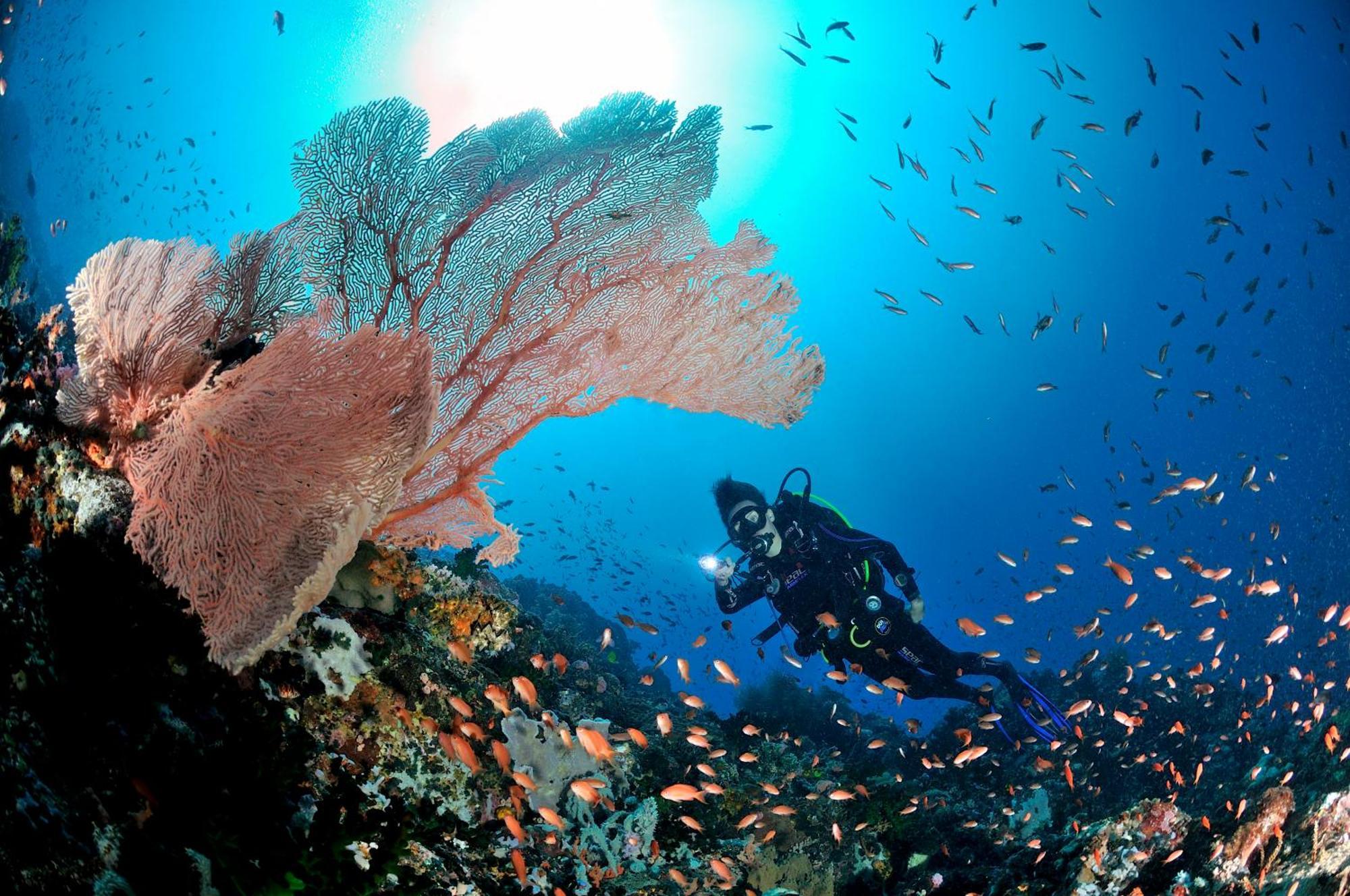 Edgewater Dive & Spa Resort Puerto Galera Εξωτερικό φωτογραφία